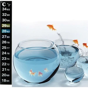 Canlı Petshop Ailong Fanus Için Dijital Derece Yapıştırma