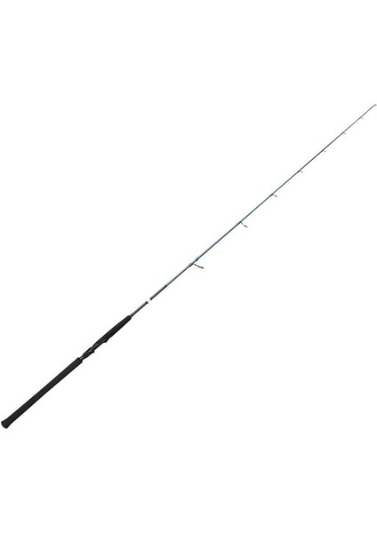 Sgs2 Jigging 5'9''/1.80M 100-250 gr Tek Parça