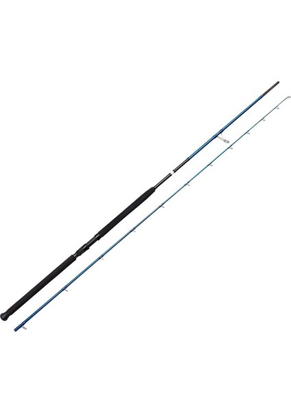 Sgs2 Shore Jigging 10'/3.05M 60-150 gr 2 Parça