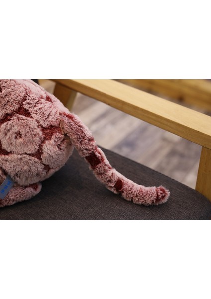 1 Adet 70 cm Peluş Oyuncak Yumuşak Kedi Siyah Gri Kedi Peluş Oyuncaklar Güzel Anime Kedi Bebek Doğum Günü Chrismas Hediye Çocuklar Için Kedi Bebek Bebek Bebek | Doldurulmuş ve peluş Hayvanlar