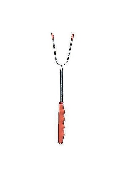 Gıda Sticks Şiş 5 Parça / Set Teleskopik Barbekü Çatal(Yurt Dışından) modelleri