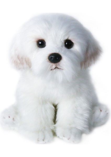 1 Adet L Boyutu Bichon Frize Yavru Dolması Malta Köpek Peluş Oyuncak Sevimli Simülasyon Evcil Hayvanlar Kabarık Bebek Bebekler Çocuklar Için Doğum Günü Hediyeleri | Doldurulmuş peluş Hayvanlar