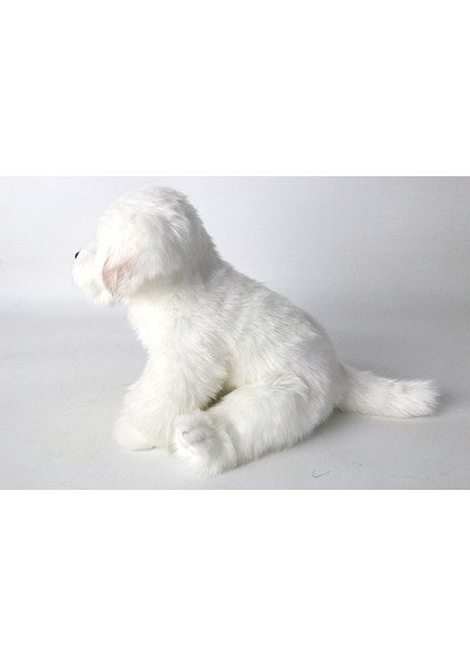 1 Adet L Boyutu Bichon Frize Yavru Dolması Malta Köpek Peluş Oyuncak Sevimli Simülasyon Evcil Hayvanlar Kabarık Bebek Bebekler Çocuklar Için Doğum Günü Hediyeleri | Doldurulmuş peluş Hayvanlar fırsatları
