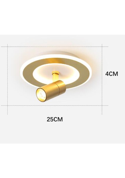 Altın Tavan Işık, Tavan Dönebilen Spot, Serin Beyaz 6000 K Spot, Modern Yuvarlak Kapalı LED 20 W 220 V Lamba Kolye Işık
