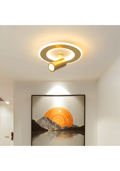 Altın Tavan Işık, Tavan Dönebilen Spot, Serin Beyaz 6000 K Spot, Modern Yuvarlak Kapalı LED 20 W 220 V Lamba Kolye Işık