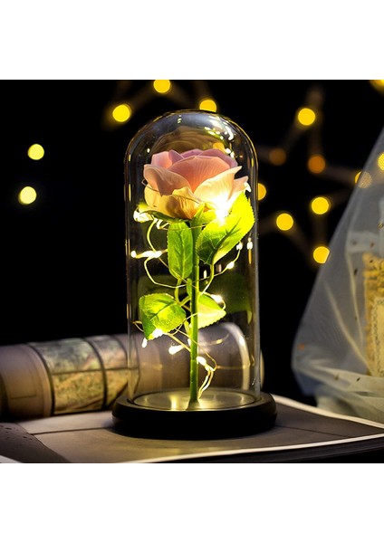 Jeqckloves Güller ve Sıcak LED Işıkları Konteyner Hediye Romantik Sevgililer Günü Düğün Yıldönümü ve Günlük Yaşam Dekorasyon (Pembe Gül + Sıcak L (Yurt Dışından)