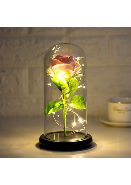 Jeqckloves Güller ve Sıcak LED Işıkları Konteyner Hediye Romantik Sevgililer Günü Düğün Yıldönümü ve Günlük Yaşam Dekorasyon (Pembe Gül + Sıcak L (Yurt Dışından)