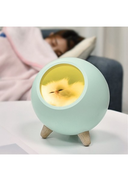 1 Adet Kedi Evi Gece Lambası Masa Işık Yatak Odası Uyku Lambası USB Şarj ile Benzersiz Sevgililer Günü Noel Hediyesi | LED Masa Lambaları (Yurt Dışından)