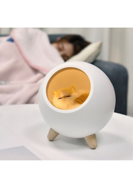 1 Adet Kedi Evi Gece Lambası Masa Işık Yatak Odası Uyku Lambası USB Şarj ile Benzersiz Sevgililer Günü Noel Hediyesi | LED Masa Lambaları (Yurt Dışından)
