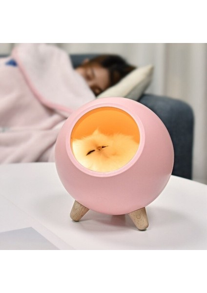 1 Adet Kedi Evi Gece Lambası Masa Işık Yatak Odası Uyku Lambası USB Şarj ile Benzersiz Sevgililer Günü Noel Hediyesi | LED Masa Lambaları (Yurt Dışından)