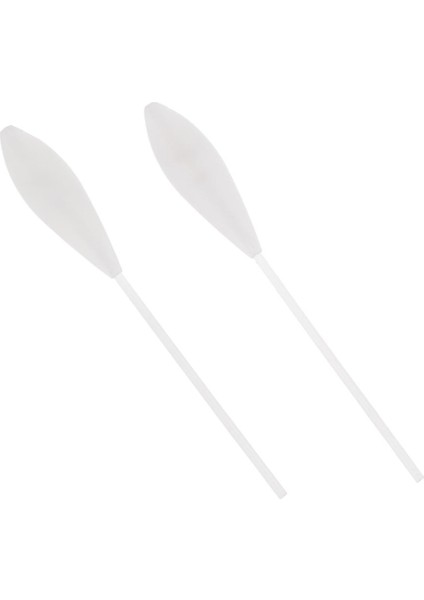 2 Adet Yüzer Bombarda Alabalık Poz Sbirolino Bas Deniz Cazibesi Olta Takımı 4g (Yurt Dışından)