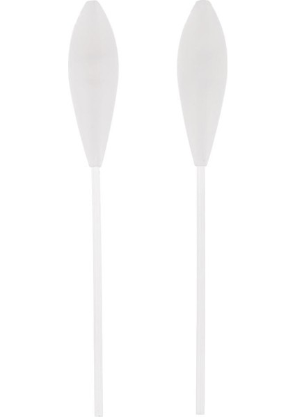 2 Adet Yüzer Bombarda Alabalık Poz Sbirolino Bas Deniz Cazibesi Olta Takımı 4g (Yurt Dışından) fırsatları