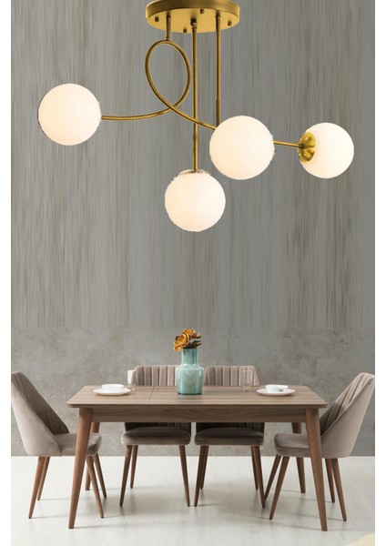 Eva Modern Tarz Globe Camli Dörtlü Avi̇ze