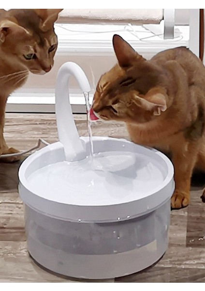 Yüksek Verimlilik Pet Su Çeşmesi Içme Besleyici Kedi Su Dağıtıcısı Cats Köpekler Için Otomatik Kapanma Kapalı Otomatik Kapanma Köpekleri | Kedi Besleme ve sulama Malzemeleri (Yurt Dışından) fiyatları