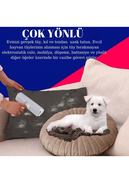 Hazneli Kedi Köpek Tüy Temizleyici Kıl Toz Toplayıcı Kazak Halı Tiftik Temizleyici Gırgır 2 Yönlü