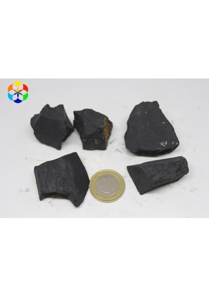 Shungite (Şungit) Taşı Ham Parça (20-29GRAM) fiyatları