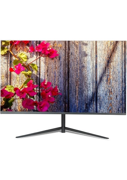 Alp-27 27" 5 Ms 60 HZ (HDMI + VGA) 1920x1080 IPS LED Monitör