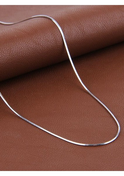 316L Çelik Yassı Kolye Sarp Kolyesi Snake Chain Erkek 2mm Ince Zincir Kolye