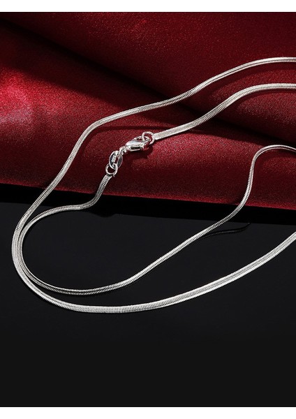 316L Çelik Yassı Kolye Sarp Kolyesi Snake Chain Erkek 2mm Ince Zincir Kolye modelleri