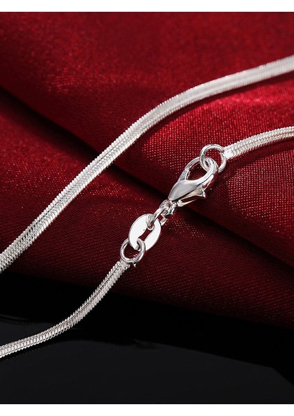316L Çelik Yassı Kolye Sarp Kolyesi Snake Chain Erkek 2mm Ince Zincir Kolye fırsatları