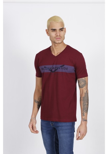 V Yaka Erkek T-Shirt fiyatları
