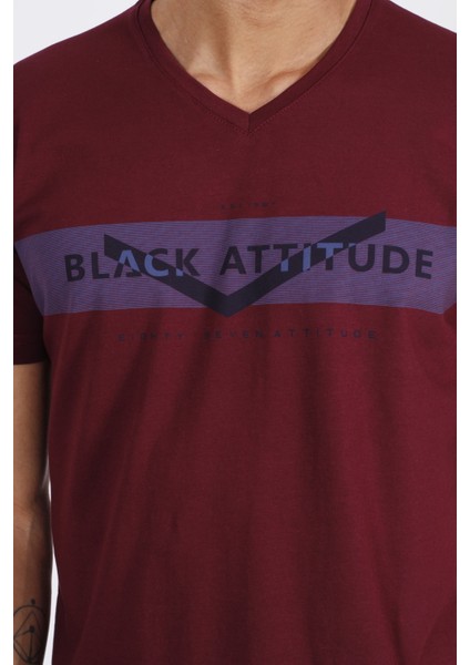 V Yaka Erkek T-Shirt indirimleri