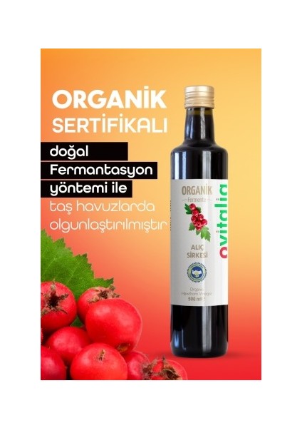 Organik Alıç Sirkesi 500 ml