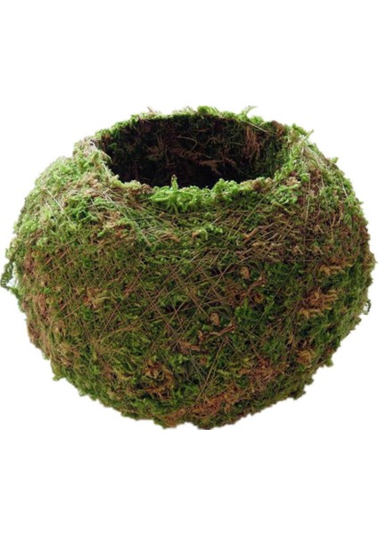 Yaratıcı Moss Dikim Topu Saksı Etli Bitki Pot Dekorasyon 18 cm (Yurt Dışından)