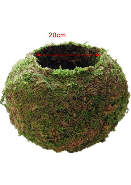 Yaratıcı Moss Dikim Topu Saksı Etli Bitki Pot Dekorasyon 18 cm (Yurt Dışından)