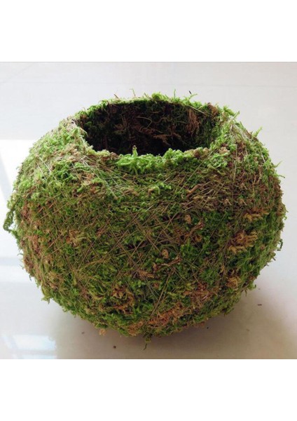 Yaratıcı Moss Dikim Topu Saksı Etli Bitki Pot Dekorasyon 18 cm (Yurt Dışından)