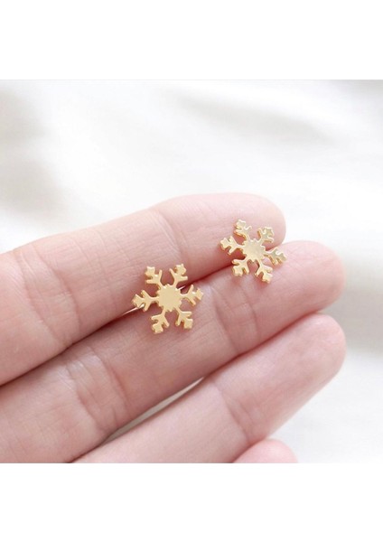 Kar Tanesi Model 925 Ayar Gümüş Kadın Küpe