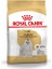 Royal Canin Maltese Terrier Adult Yetişkin Köpek Maması 1,5 kg 1