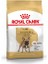 Royal Canin French Bulldog Adult Yetişkin Köpek Maması 3 kg 1