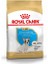 Royal Canin French Bulldog Junior Yavru Köpek Maması 3 kg 1
