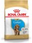 Royal Canin Cocker Junior Yavru Köpek Maması 3 kg 1