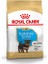 Royal Canin Yorkshire Terrier Junior Yavru Köpek Maması 1,5 kg 1