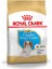 Royal Canin Cavalier King Charles Junior Yavru Köpek Maması 1,5 kg 1