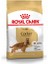 Royal Canin Cocker Adult Yetişkin Köpek Maması 3 kg 1
