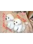 1 Adet L Boyutu Bichon Frize Yavru Dolması Malta Köpek Peluş Oyuncak Sevimli Simülasyon Evcil Hayvanlar Kabarık Bebek Bebekler Çocuklar Için Doğum Günü Hediyeleri | Doldurulmuş peluş Hayvanlar 3