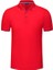 Iş Giysileri Özel Polo Gömlek T-Shirt Kısa Kollu Yaz Kültür Gömlek Baskı Logosu Şirketi Ismarlama Giyim Iş Giysileri Dıy(Yurt Dışından) 2