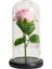 Jeqckloves Güller ve Sıcak LED Işıkları Konteyner Hediye Romantik Sevgililer Günü Düğün Yıldönümü ve Günlük Yaşam Dekorasyon (Pembe Gül + Sıcak L (Yurt Dışından) 1