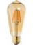 Rustik Ampul Amber 4W E27 Duy ST64 Edıson Bulb 1