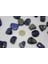 Lapis Taşı Tamburlanmış (20-29 Gram) 5