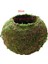 Yaratıcı Moss Dikim Topu Saksı Etli Bitki Pot Dekorasyon 18 cm (Yurt Dışından) 3