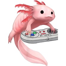 Tarzz Video Oyunu Oynayan Axolotl Balığı Tablo Ahşap Poster Dekoratif