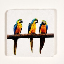 Şeker Portakalım Dekoratif Figürlü Doğal Taş Gider Kapağı Banyo Süsü Tekli 10X10 cm