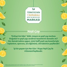 Doğadan Yeşil Çay Limonlu 20’li Bardak Poşet X3