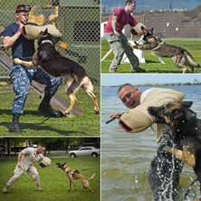 Köpek Isırık Kollu Eğitim Ekipmanları Çiğneme Için Kırbaç Çırpma Sopa ile(Yurt Dışından)