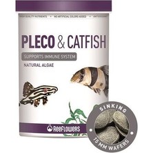 ReeFlowers Pleco&catfısh