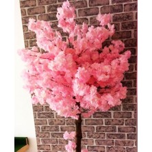 Botanik Bahçesi Pembe Bahardalı Ağacı 1.90 Metre Boyunda  Çam Ağacı Lambiri Saksıda  Pembe Yaz Ağacı Çiçek Bitki